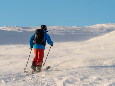 Excursion de ski XCD au départ d'Ivalo
