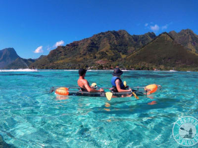 Balade guidée en kayak transparent à Moorea