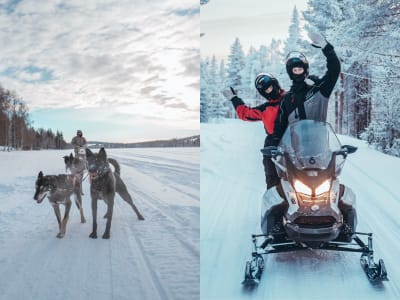 Snowmobile and Dog Sledding Experience from Rovaniemi