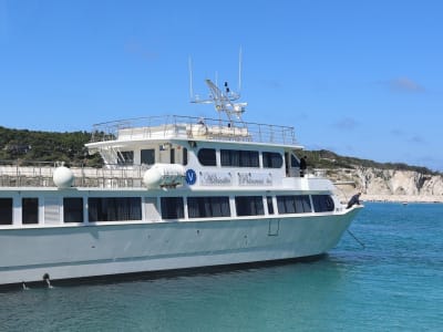 Excursion en bateau sur la côte du Gargano depuis Peschici près de Vieste