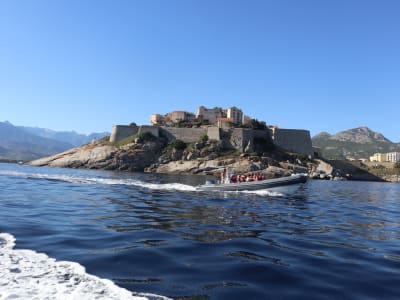 Excursión en barco por el Golfo de Calvi hasta La Revellata