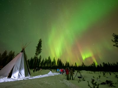 Aurores boréales et barbecue lapon près de Rovaniemi