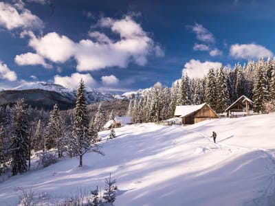Guided Snowshoeing in the Stubai Valley in the Austrian Tyrol, near Innsbruck