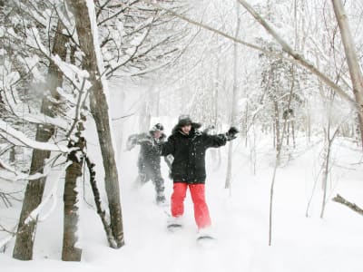 Snowshoes Rental at Jacques-Cartier National Park near Quebec City
