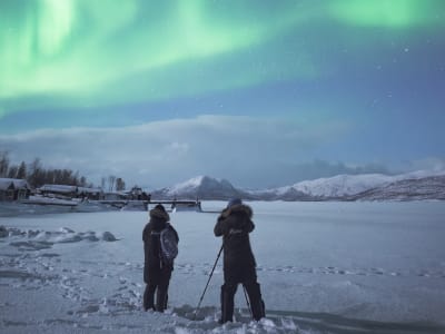 Excursión para ver la aurora boreal en Abisko con cena incluida, desde Kiruna