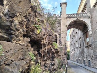 Guided tour of Catania about the volcanic history of Mount Etna