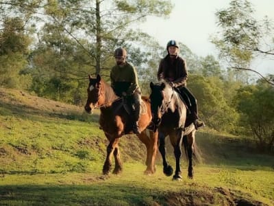 Advanced Horseback Riding on the Piton Maïdo, Reunion Island