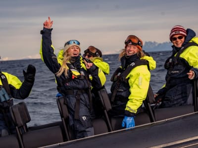 Marine Wildlife Safari from Henningsvær, near Svolvær