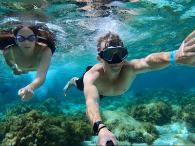 Snorkelling Tour in Comino and Gozo Island, Malta