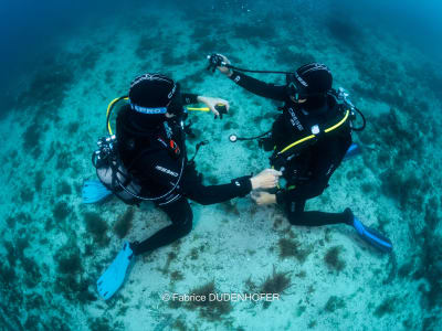 PADI Open Water-Tauchkurs in Marseille