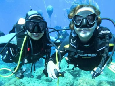 Descubre el buceo en Cagliari desde Calamosca, Cerdeña