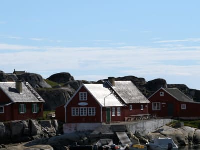 Sightseeing Boat Tour to Oqaatsut from Ilulissat