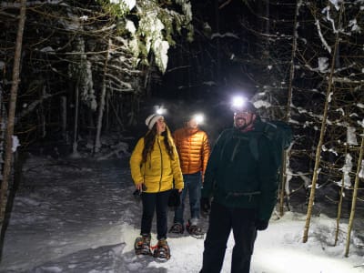 Excursion en raquettes de nuit dans le Parc de la Gatineau au départ d'Ottawa et Gatineau