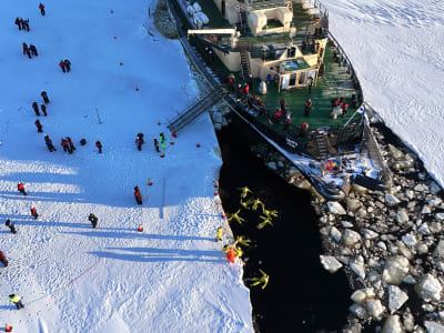 'Sampo' Icebreaker Boat Cruise and Ice Floating Excursion in Kemi from Haparanda and Tornio