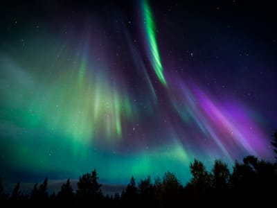 Northern Lights Chase by Car from Ylläsjärvi