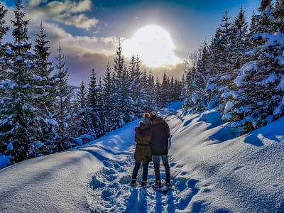 Arktische Schneeschuhwanderung um Kvaløya von Tromsø aus