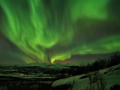 Northern Lights Husky Hike around Abisko Valley in Swedish Lapland