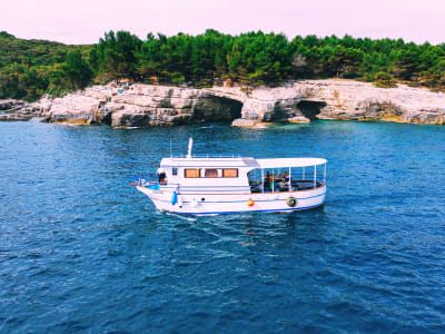 Private Brijuni Tour with Snorkeling from Pula