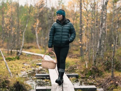 Wild Berry and Mushroom Foraging Forest Hike from Rovaniemi