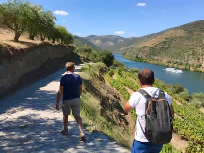 Itinéraire de randonnée dans la vallée du Douro depuis Pinhão