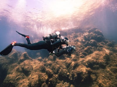 Entdecken Sie das Tauchen in Sanary-sur-Mer