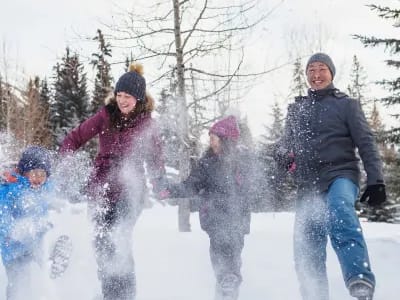 Excursion touristique hivernale à Lake Louise et Johnston Canyon au départ de Banff