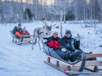Reindeer Sleigh Ride from Rovaniemi