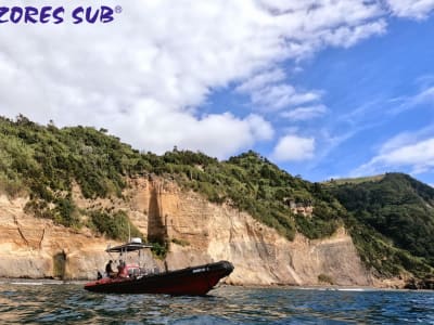 Paseo en barco por el islote de Vila Franca, São Miguel