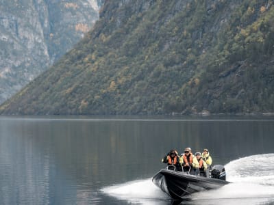 Wildlife Boat Tour on Hjørundfjord from Ålesund