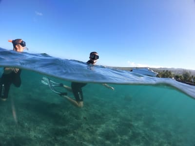 Snorkeling à L’Étang-Salé, au Bassin Pirogue, La Réunion