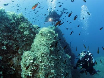 Inmersiones de aventura en las islas Tavolara y Molara desde San Teodoro, Cerdeña