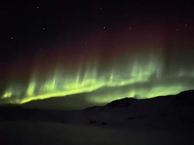 Northern Lights Snowmobile Tour in Ilulissat, Greenland