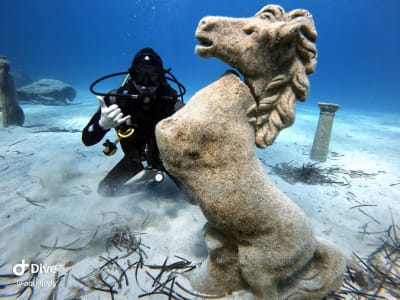 Entdecken Sie das Tauchen in der Green Bay, in der Nähe von Ayia Napa