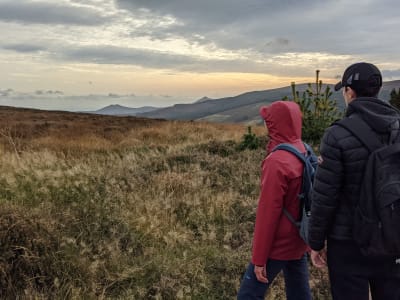 Archaeological Guided Hike in the Dublin Mountains