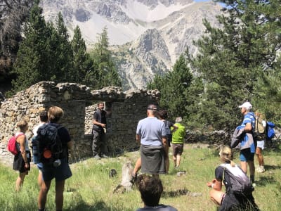 Geführte Wanderung in den Wäldern des oberen Susatals ab Claviere bei Sestriere