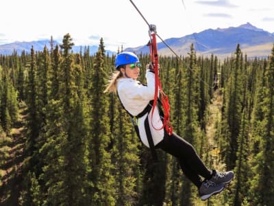 Tour en tyrolienne au-dessus du parc national de Denali en Alaska