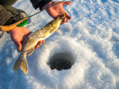 Guided Ice Fishing Excursion from Rovaniemi on a Frozen Lake