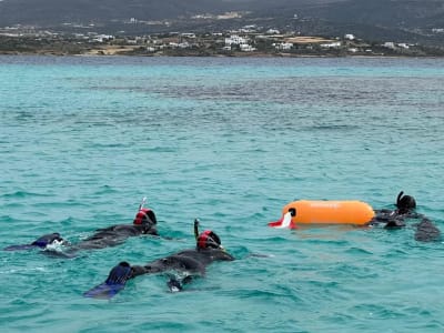 Guided Snorkelling Excursion from Aliki in Paros