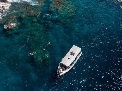 Dolphin watching and snorkelling in Kealakekua Bay, Hawai’i Island 