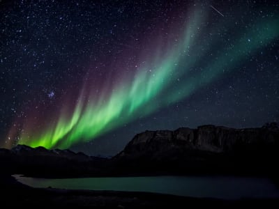 Alaskan Northern Lights viewing tour from Murphy Dome summit, departing from Fairbanks