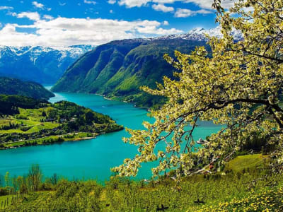 Private Sightseeing Tour to Hardangerfjord and Mount Hanguren from Bergen