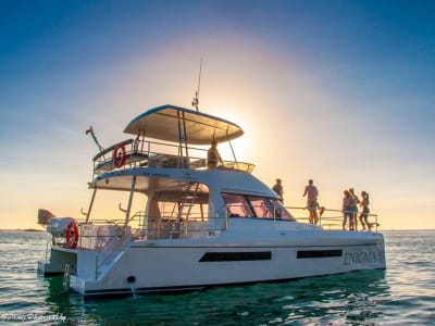Morning Catamaran Cruise from Cape Town with Prosecco