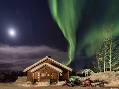 Snowshoeing Excursion to Search for Northern Lights from Ylläsjärvi