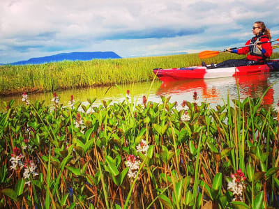 Self-guided Sea Kayaking Excursion in Stokkseyri near Selfoss