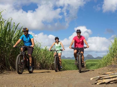 Elektrofahrrad-Ausflug in Pamplemousses, Mauritius