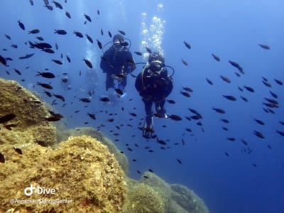 Discover Scuba Diving in La Maddalena, Sardinia