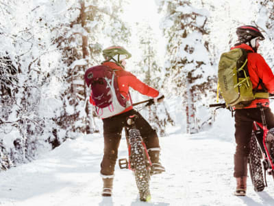 E-Fat Bike and Snowshoeing Excursion from Pyhä-Luosto