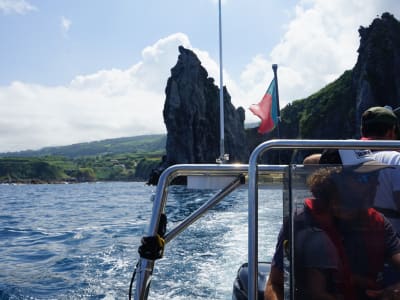 Excursión en speedboat por la bahía de Porto Formoso, São Miguel