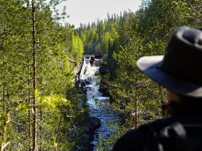Senderismo al Cañón Korouoma y la Cascada Auttiköngäs desde Rovaniemi