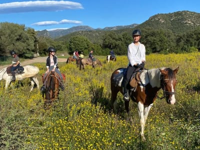 Entdecken Sie den Reitsport in der Nähe des Cortenais-Tals, Corte